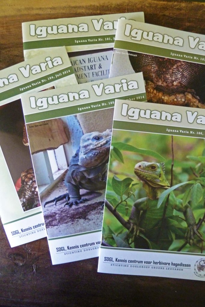 Ontvang 4 x per jaar de Iguana Varia met interessante artikelen over de doelgroepdieren.