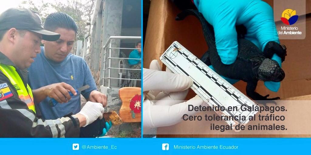 © Ministerio Ambiente Ecuador